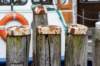 dsc_3602_small.jpg
