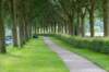 dsc_3605_small.jpg