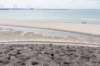 dsc_3607_small.jpg