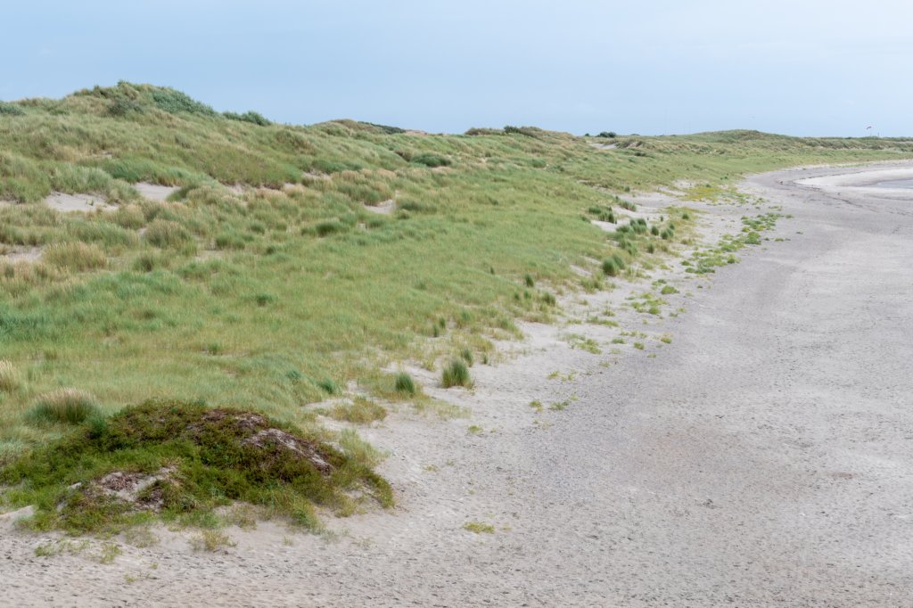 dsc_3608.jpg
