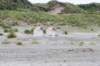 dsc_3614_small.jpg