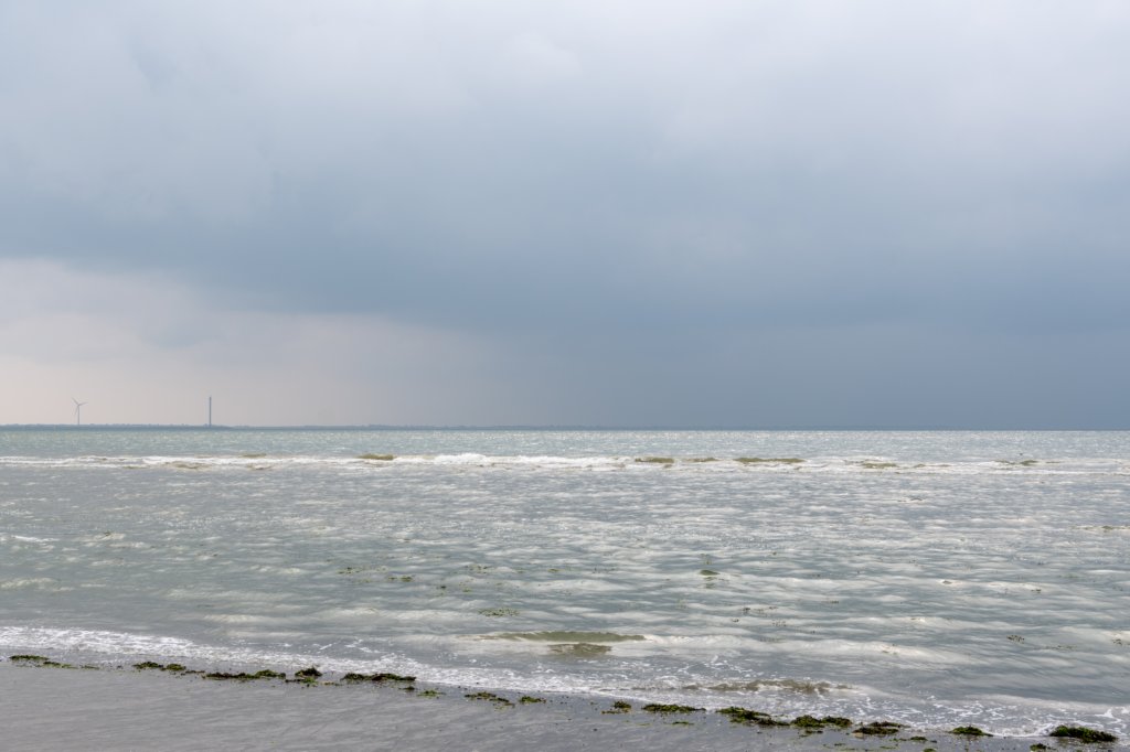 dsc_3619.jpg