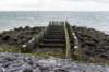 dsc_3625_small.jpg