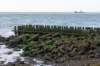 dsc_3626_small.jpg