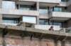 dsc_3629_small.jpg