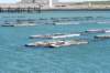 dsc_3646_small.jpg