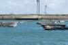 dsc_3647_small.jpg