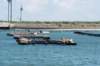 dsc_3648_small.jpg