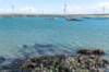 dsc_3649_small.jpg