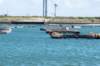 dsc_3655_small.jpg