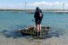 dsc_3657_small.jpg
