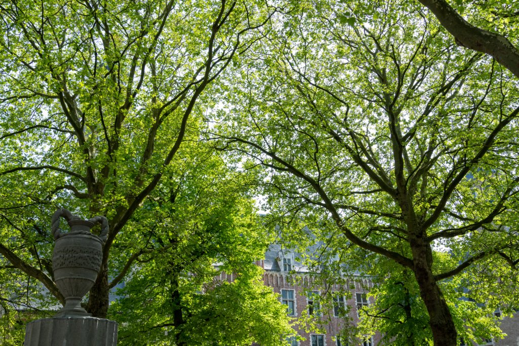 burghsluis2022_018.jpg