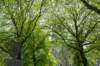 burghsluis2022_018_small.jpg