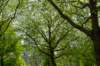 burghsluis2022_019_small.jpg