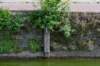 burghsluis2022_032_small.jpg