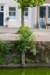 burghsluis2022_033_small.jpg