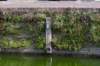 burghsluis2022_034_small.jpg