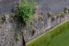 burghsluis2022_036_small.jpg
