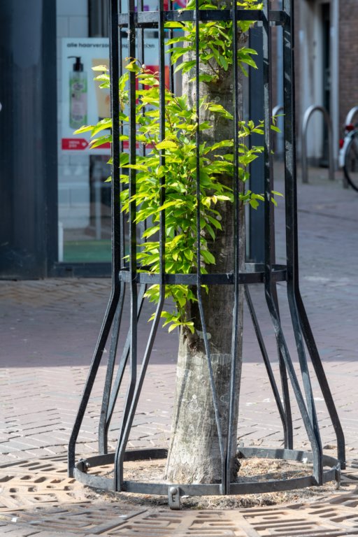 burghsluis2022_041.jpg