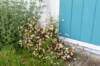 burghsluis2022_051_small.jpg