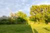 burghsluis2022_052_small.jpg