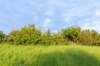 burghsluis2022_053_small.jpg
