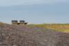 burghsluis2022_071_small.jpg