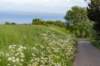 burghsluis2022_075_small.jpg