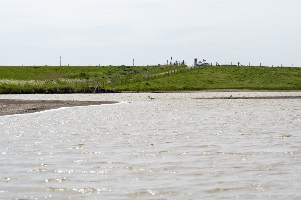 burghsluis2022_088.jpg