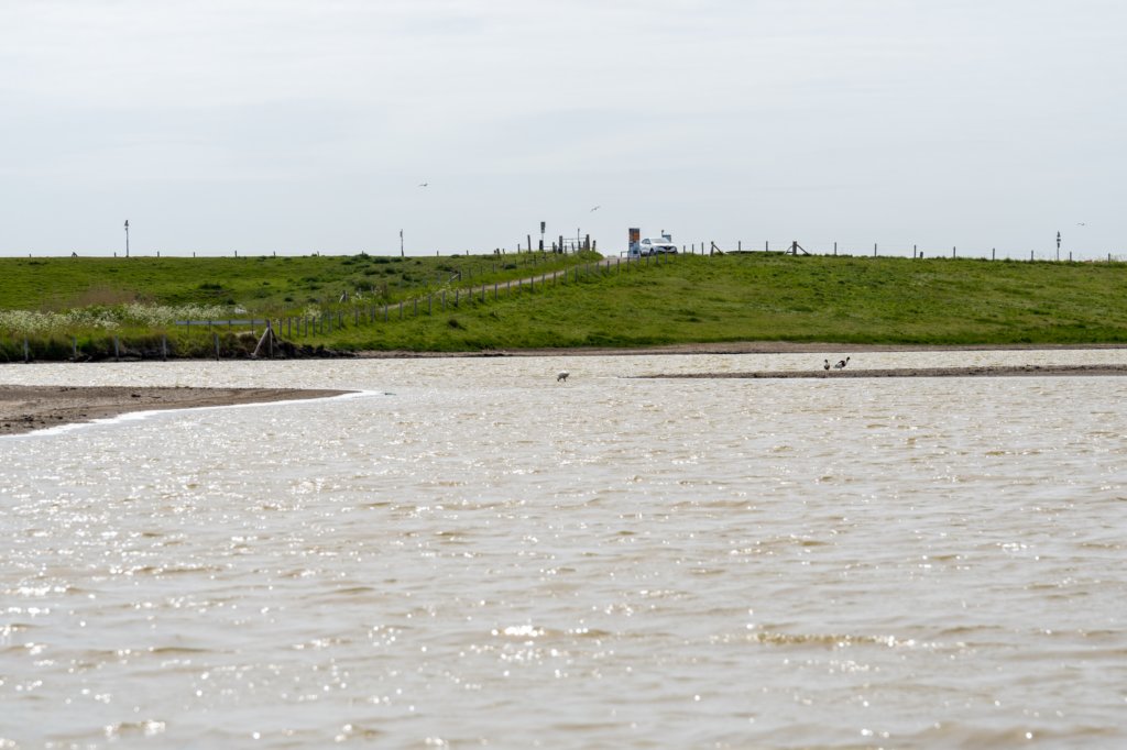 burghsluis2022_090.jpg