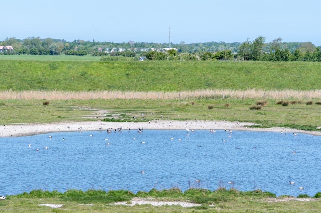 burghsluis2022_106.jpg