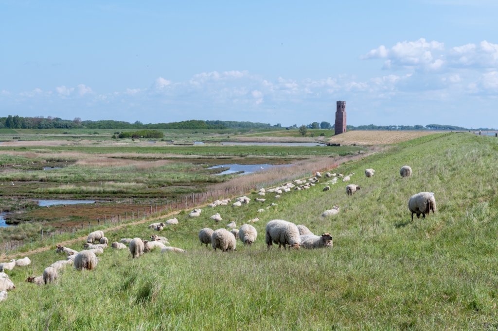 burghsluis2022_108.jpg