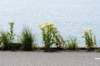burghsluis2022_110_small.jpg