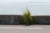 burghsluis2022_113_small.jpg