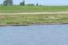 burghsluis2022_117_small.jpg
