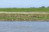 burghsluis2022_120_small.jpg