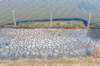 burghsluis2022_121_small.jpg