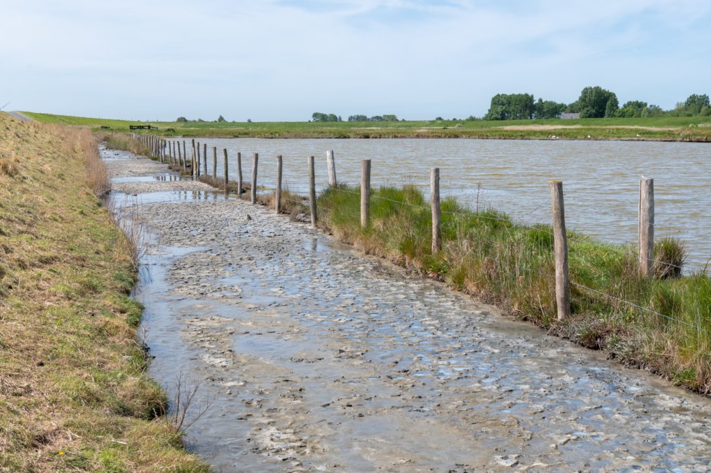 burghsluis2022_123.jpg
