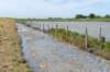 burghsluis2022_123_small.jpg