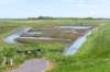 burghsluis2022_133_small.jpg