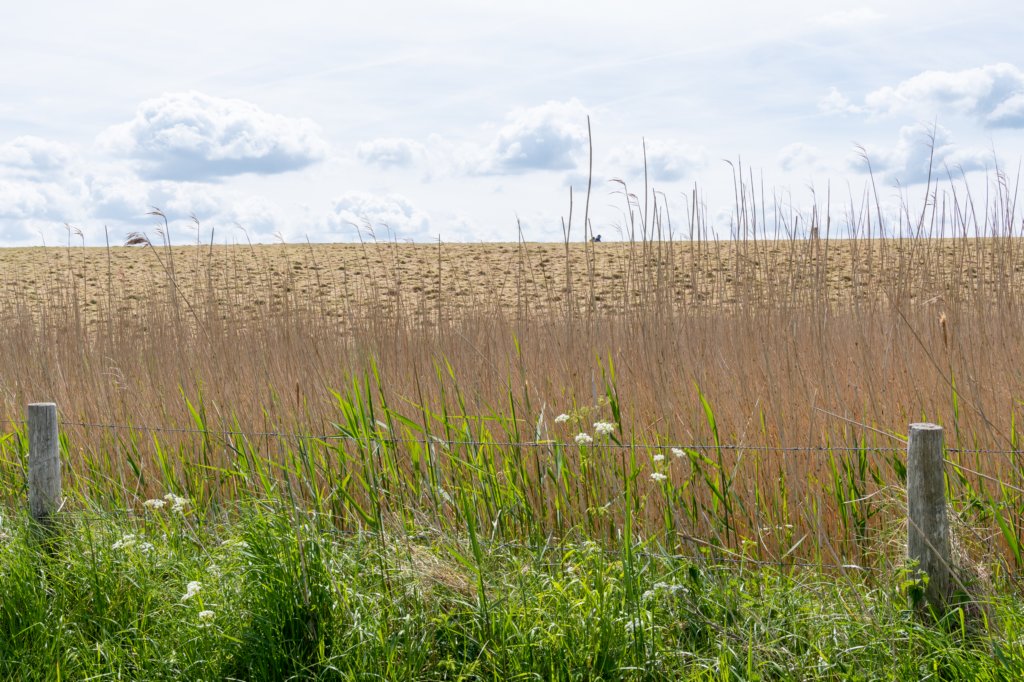 burghsluis2022_139.jpg