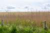 burghsluis2022_139_small.jpg