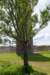 burghsluis2022_140_small.jpg