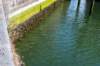 burghsluis2022_162_small.jpg