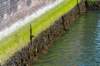 burghsluis2022_163_small.jpg