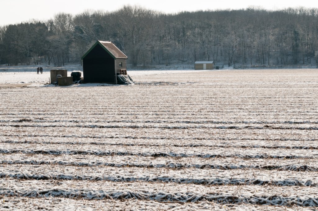 castricum_002.jpg