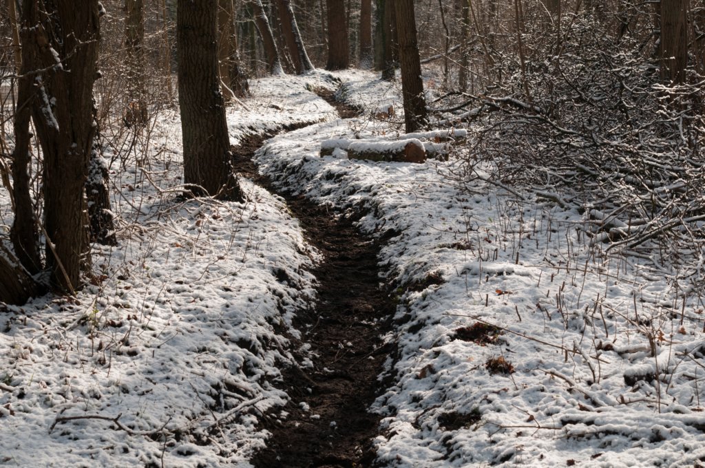 castricum_004.jpg