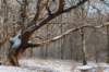 castricum_005_small.jpg