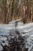 castricum_007_small.jpg