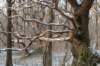 castricum_008_small.jpg
